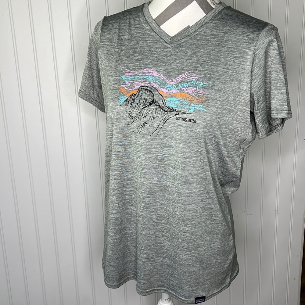 Patagonia Gray Short Sleeve Tee with Multicolor Design